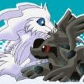 Portrait de reshiram