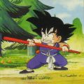 Portrait de Dragon Ball