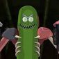 Portrait de PickleRick