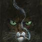 Portrait de BlackSad83500