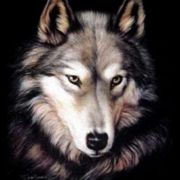 Portrait de Fenrir